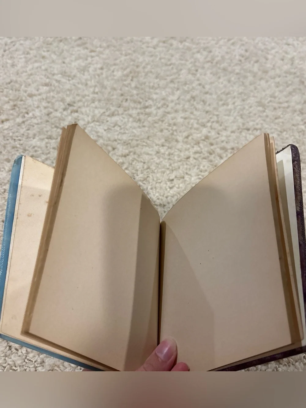 Antique Edwardian Autograph Album Notebook 1904-1908 Embossed Celluloid Cover